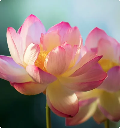 Spiritual teacher leading a Satsang gathering with community members in meditation